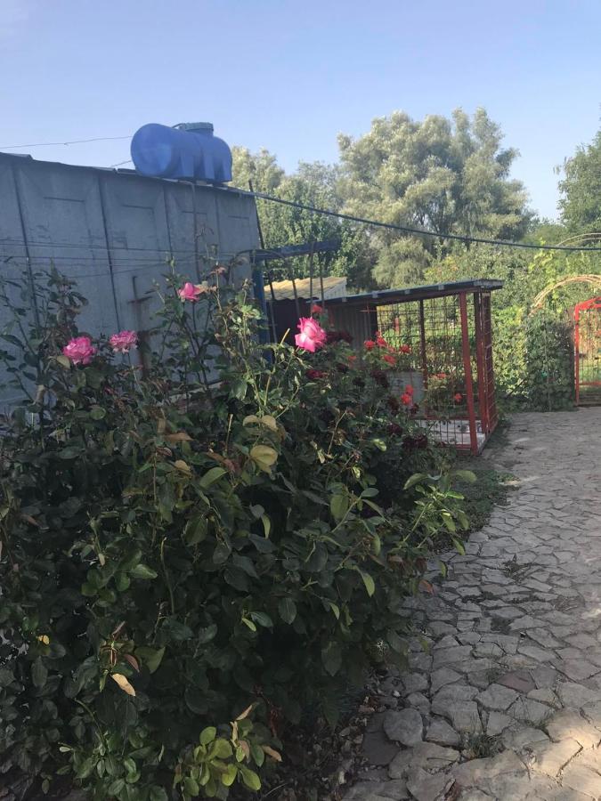 The Garden Villa Myrhorod Exterior photo